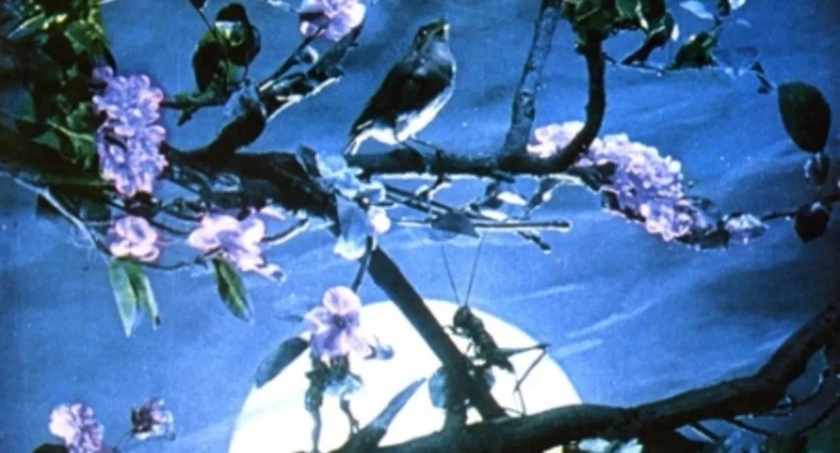 Voice of the Nightingale