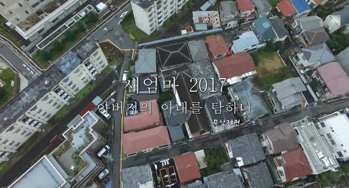 새엄마 2017: 아버지의 아내를 탐하다