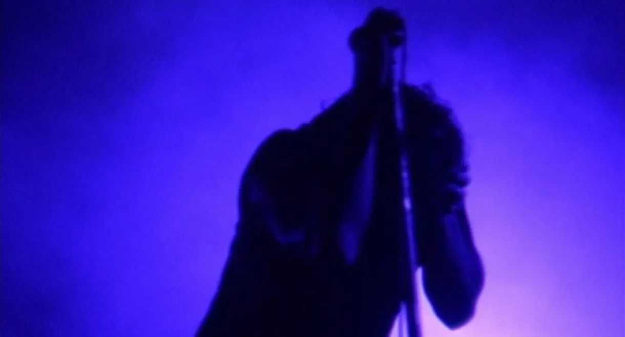 Nine Inch Nails: And All That Could Have Been