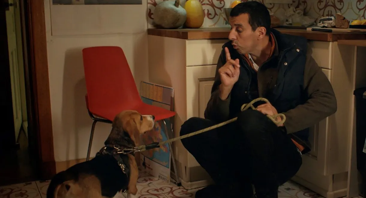 The Dogsitter (Now That I’m a Ghost)