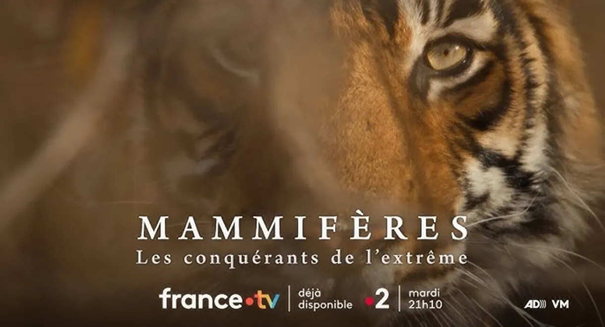 Mammifères, les conquérants de l'extrême