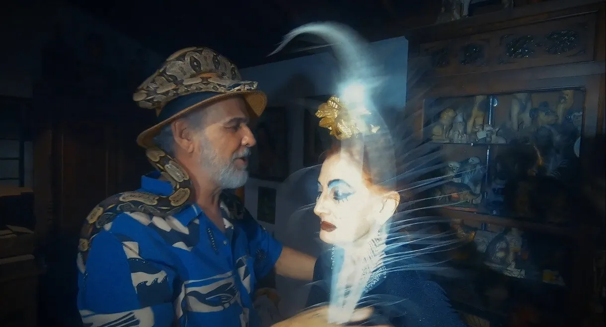 O Grande Espanto de Dorothy Boom