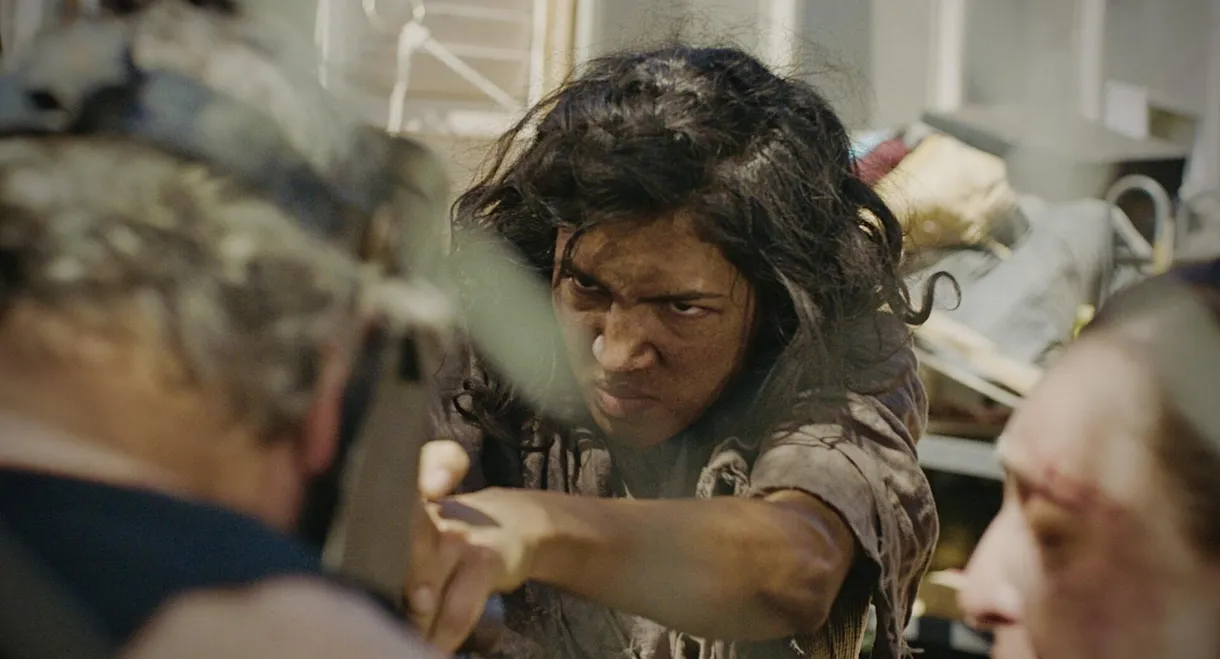 Under the Burning Sun