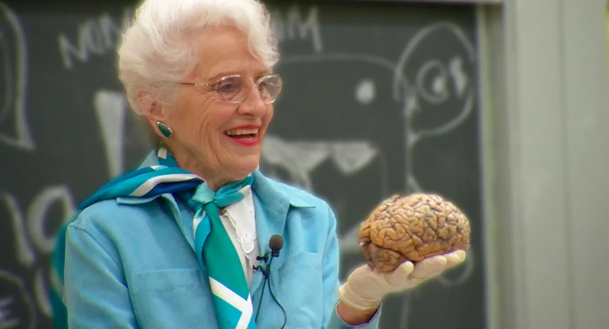 My Love Affair with the Brain