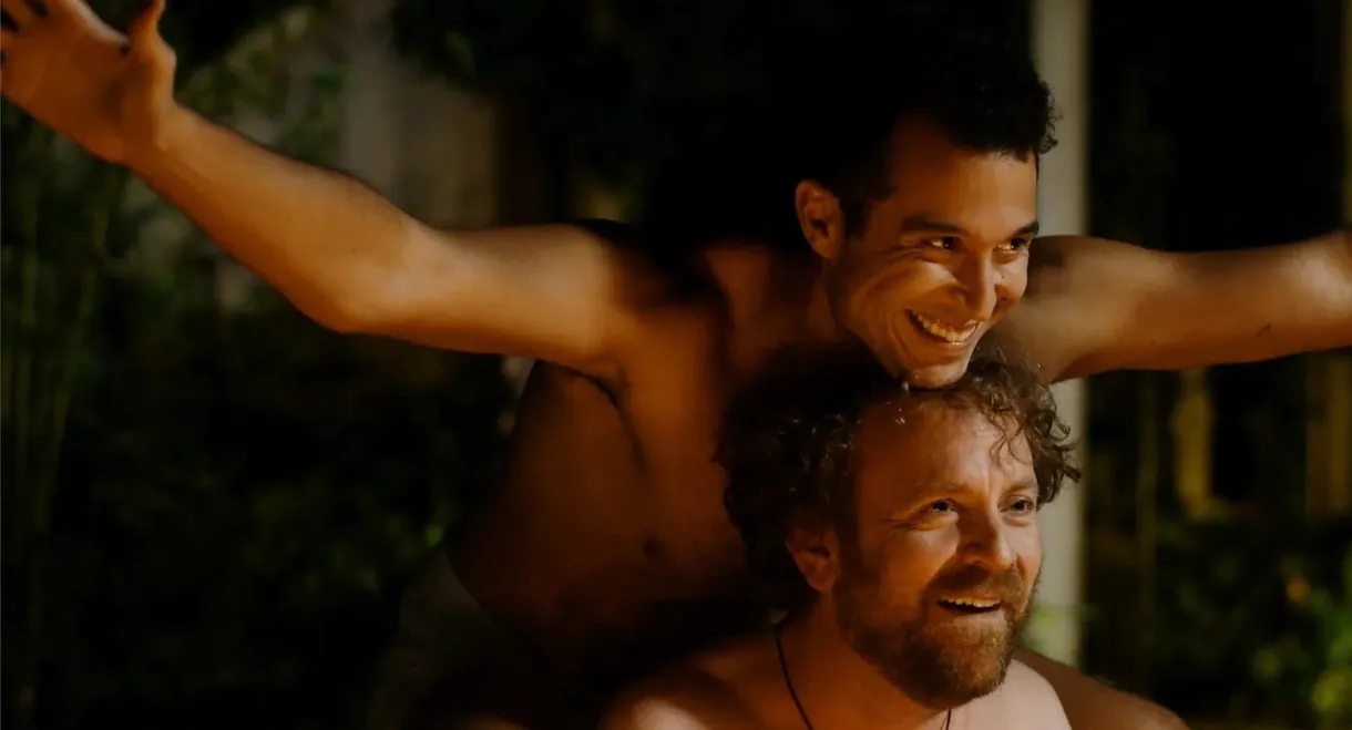 The Extinction of Fireflies