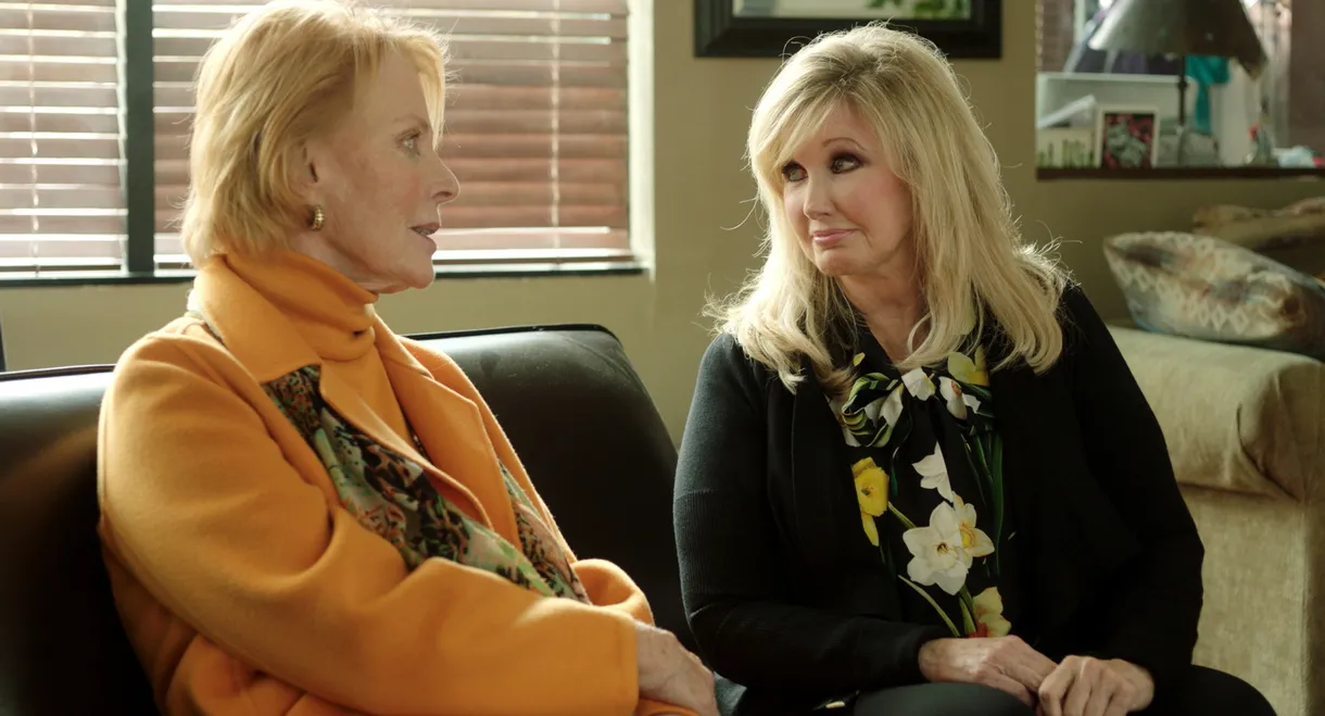 Our (Almost Completely True) Love Story