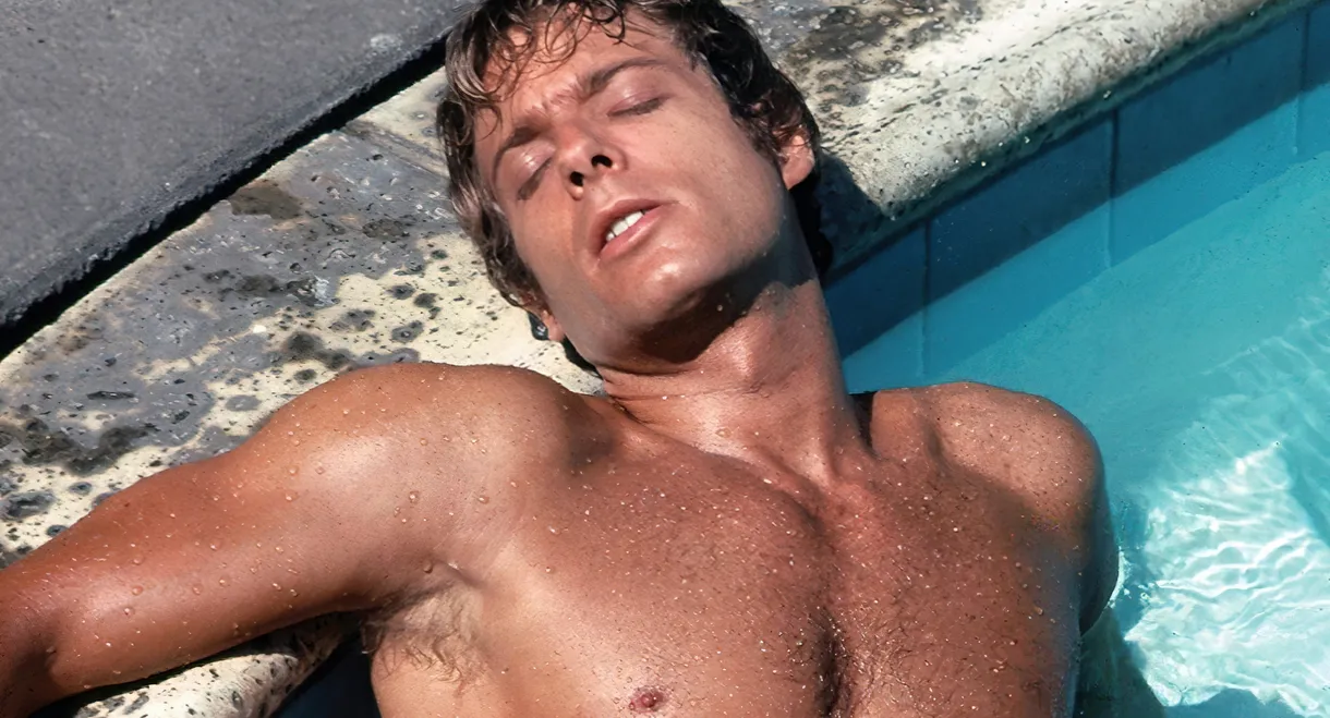 Wrangler: Anatomy of an Icon