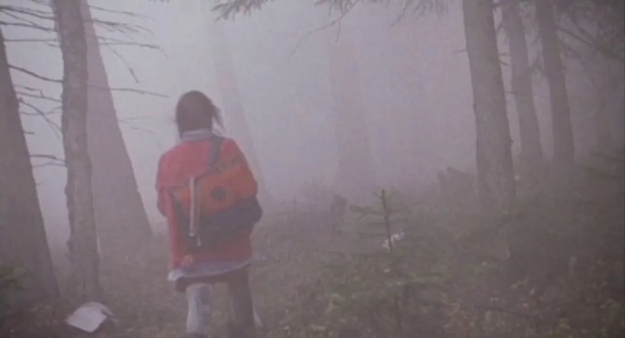 The Girl in the Mist