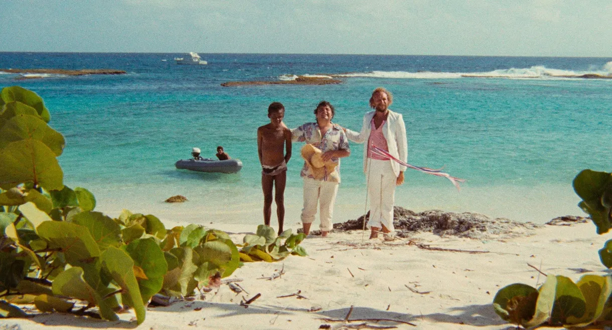 The Castaways of Turtle Island