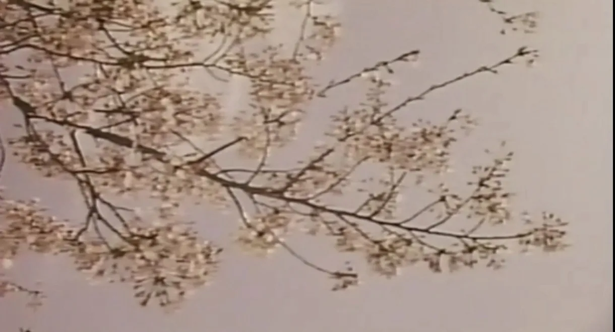 Wakaoku-sama: Futomono-biraki