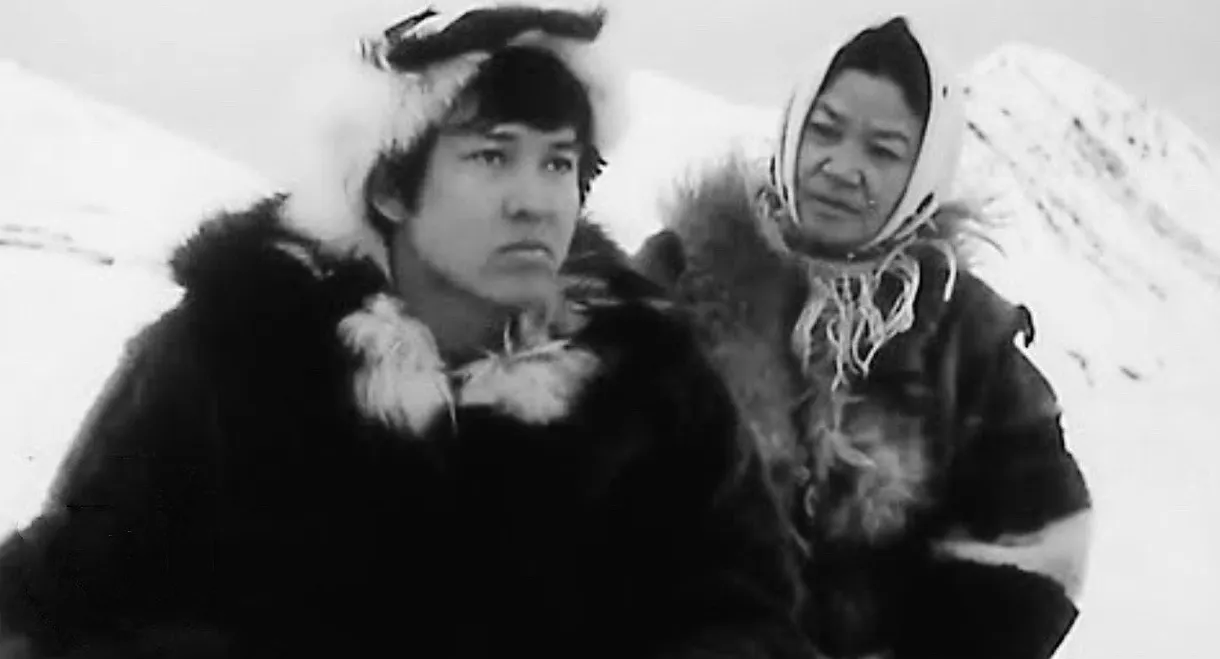 The Most Beautiful Ships