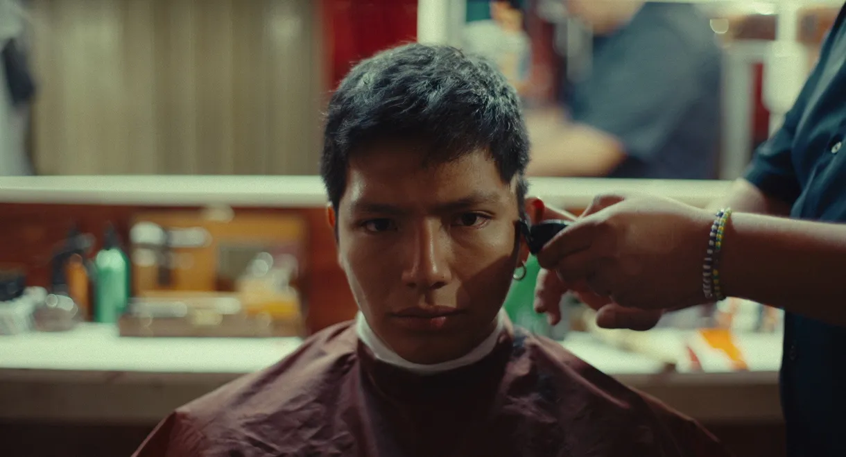 The Immaculate Honey