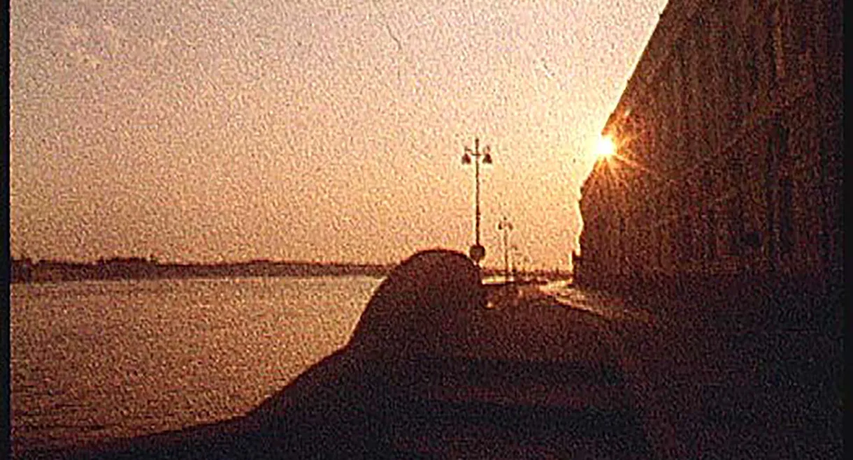 Phantoms of White Nights