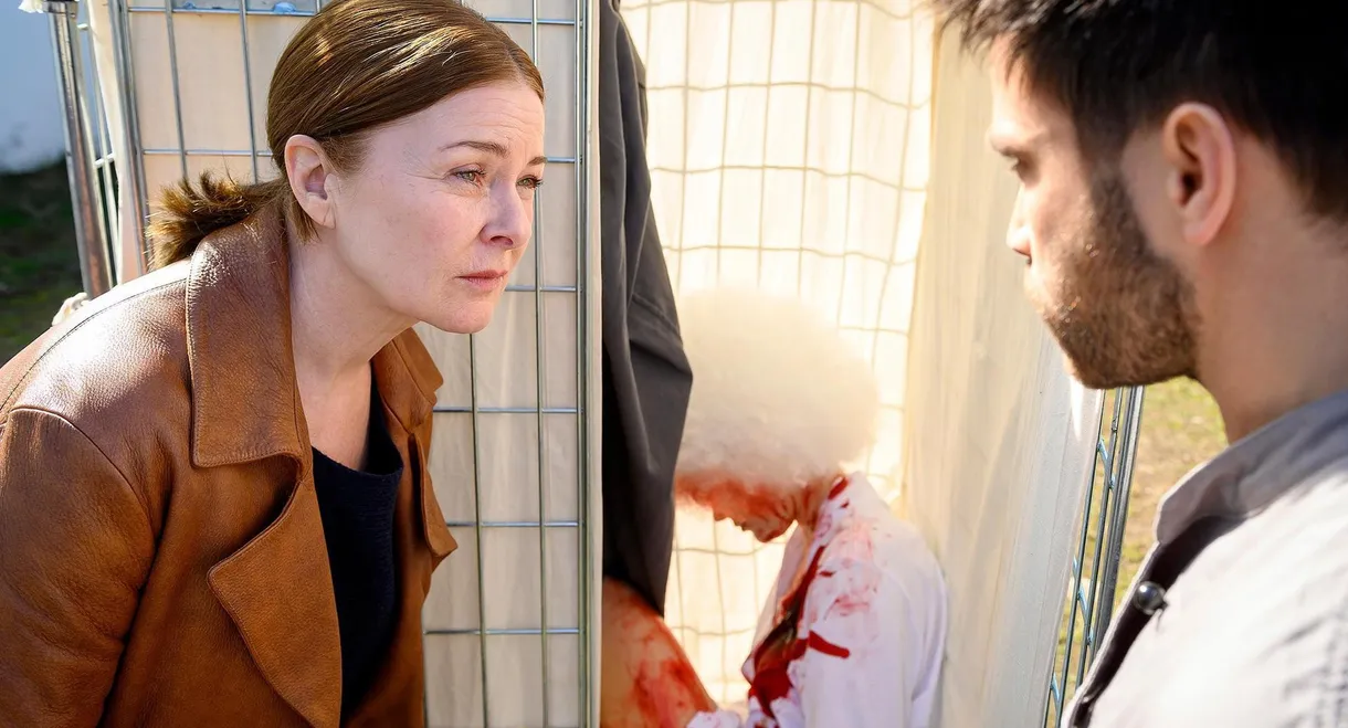 The Fox - Beautiful and Dead