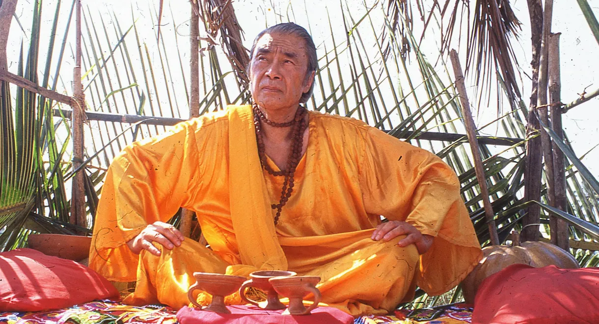 The Wonderland Experience