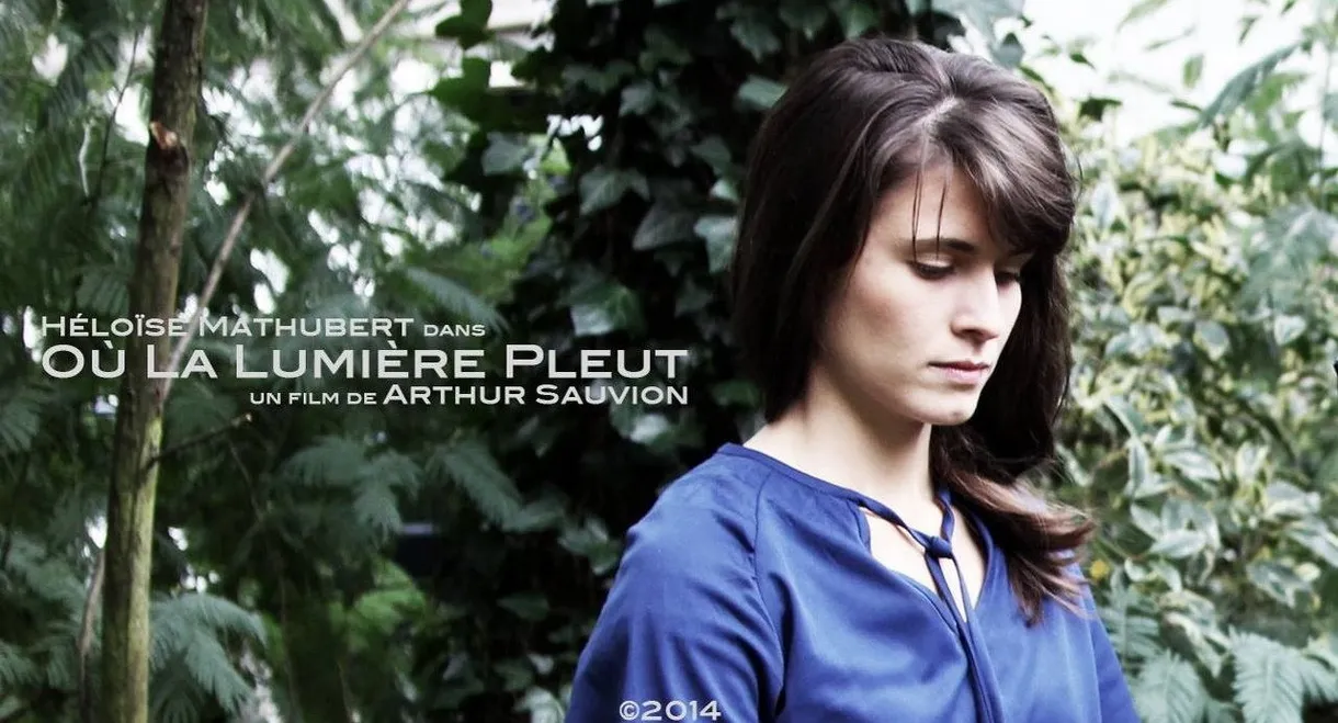 Où la lumière pleut