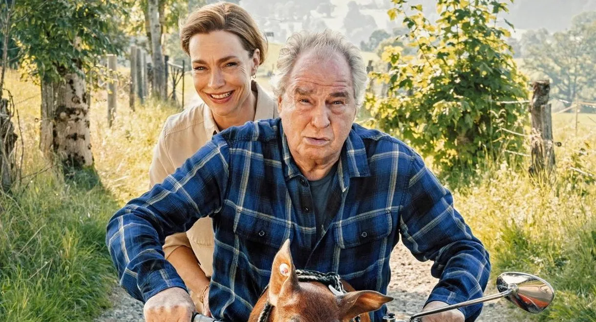 Zimmer mit Stall - Schwein gehabt