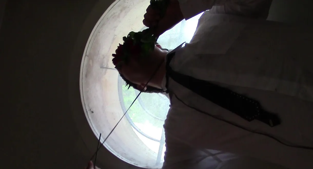 Requiem per una rosa