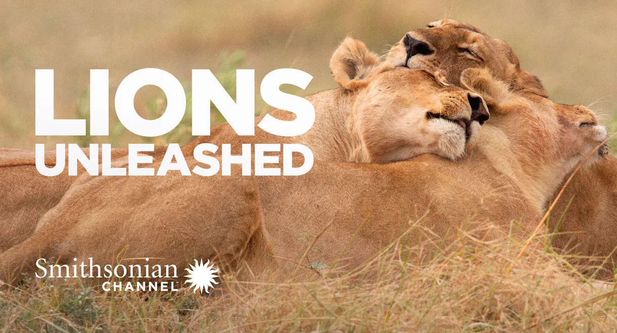 Lions Unleashed