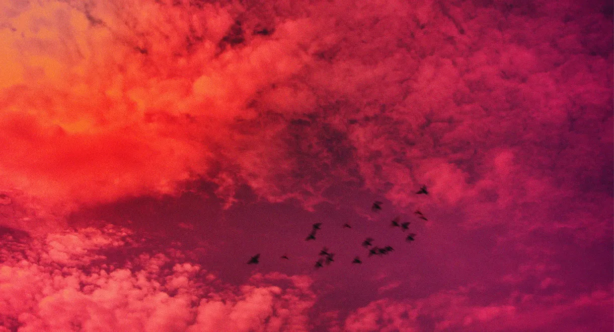 Taking my Time to Dance