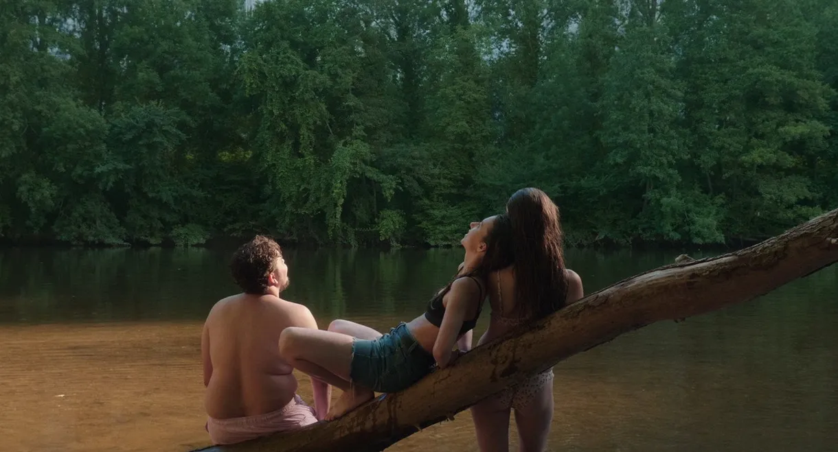 Landscape with Linen