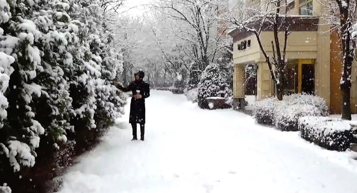 It Snows on You