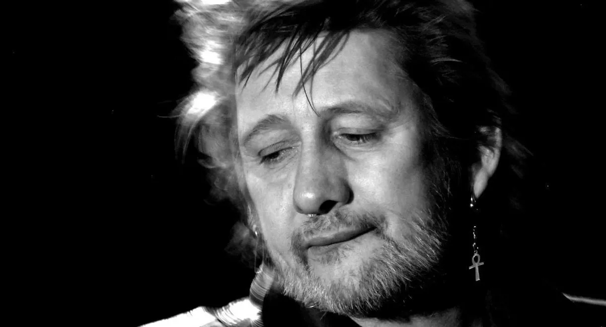 If I Should Fall from Grace: The Shane MacGowan Story