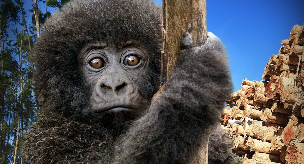 Escape from Extinction: Rewilding