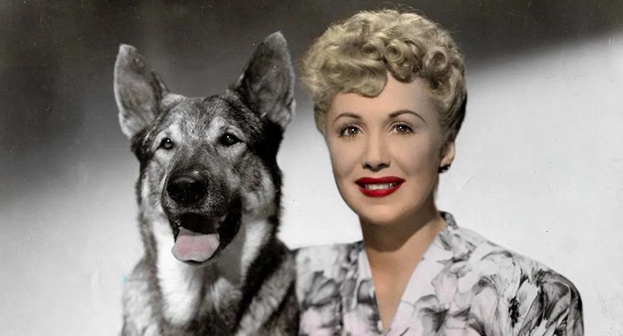 The Return of Rin Tin Tin