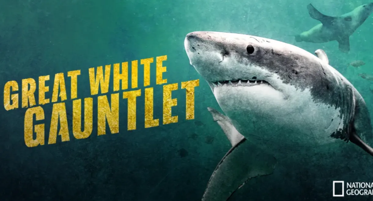 Great White Gauntlet