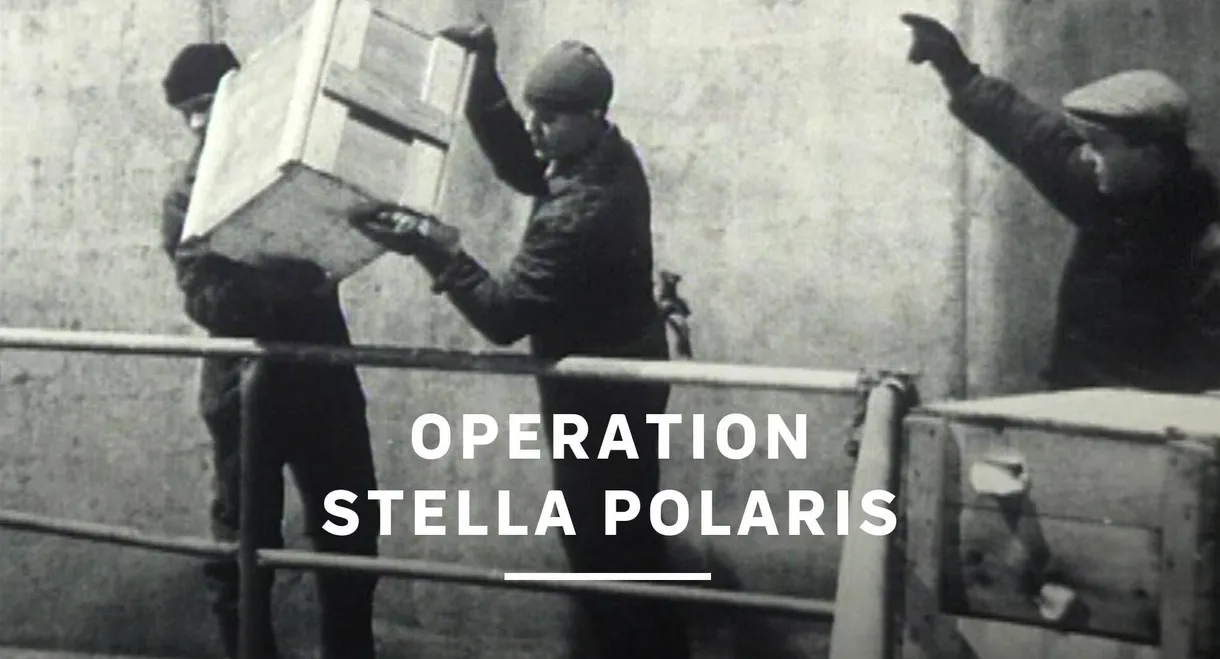Operation Stella Polaris