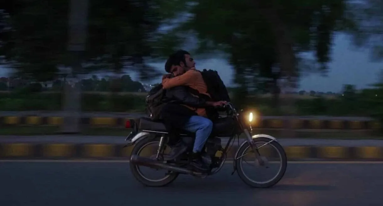 Cats Can Teach You To Die Alone