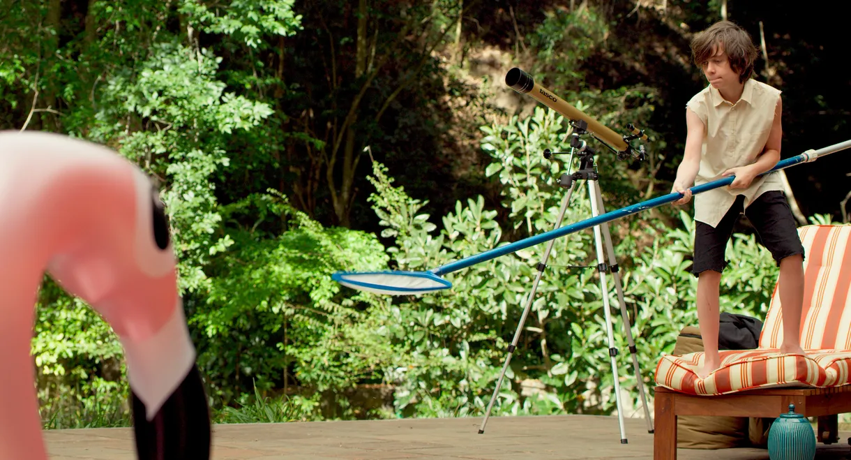 Oliverio and the Pool