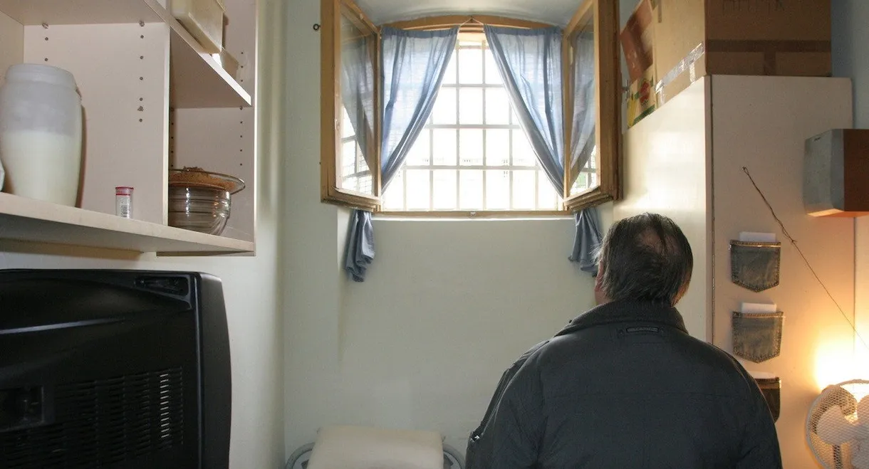 Meine liebe Republik