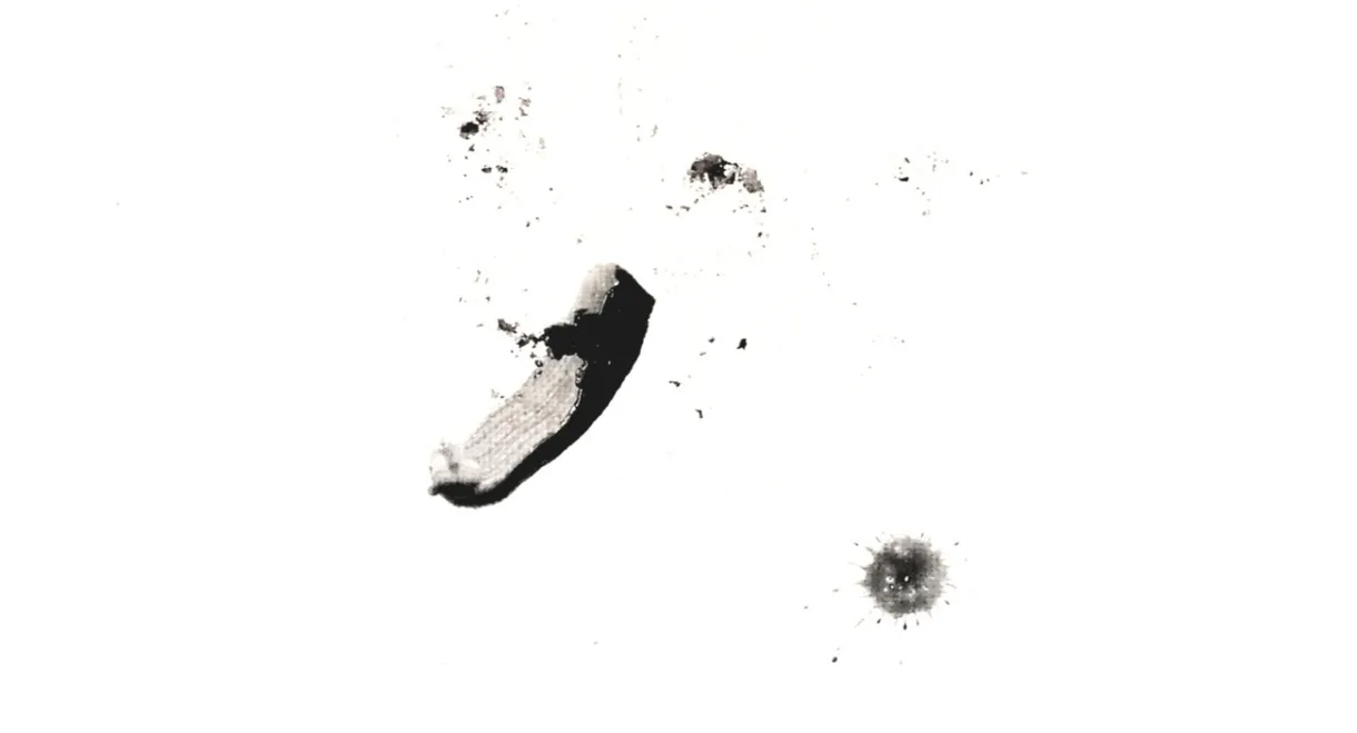 Proceso creativo de una mente sin ideas (PCDUMSI)