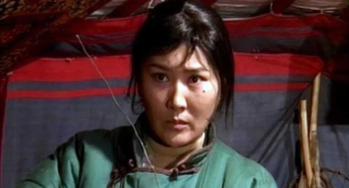 My Beautiful Jinjiimaa