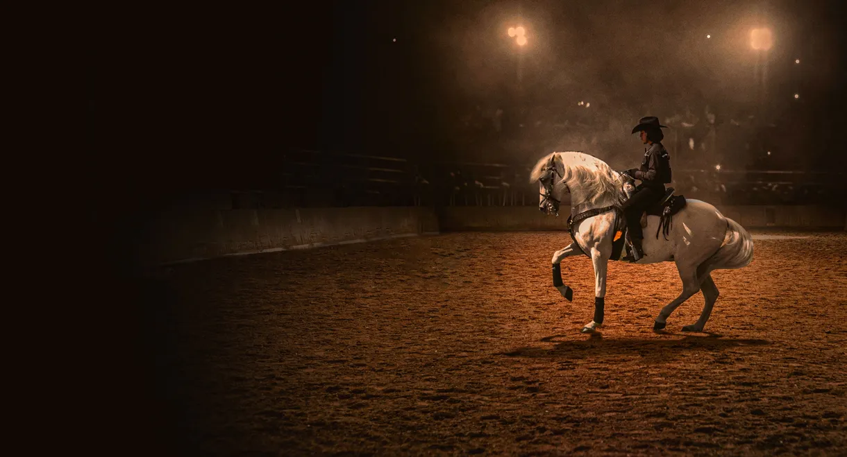 Centurion: The Dancing Stallion