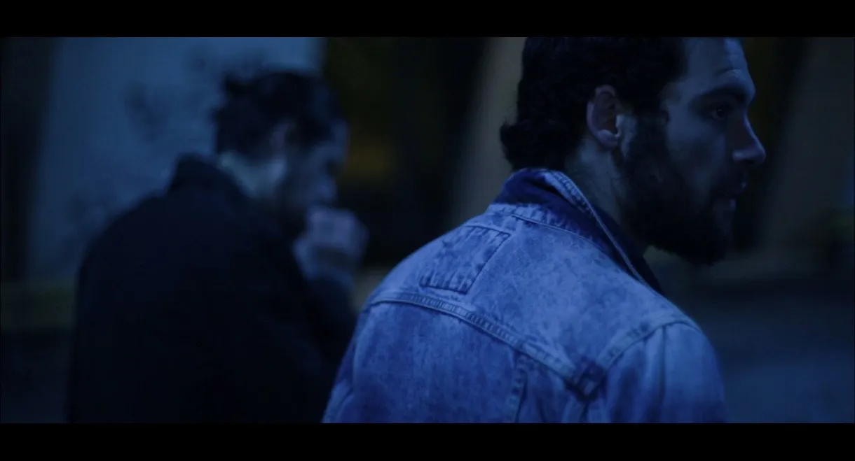 The Night is Calling