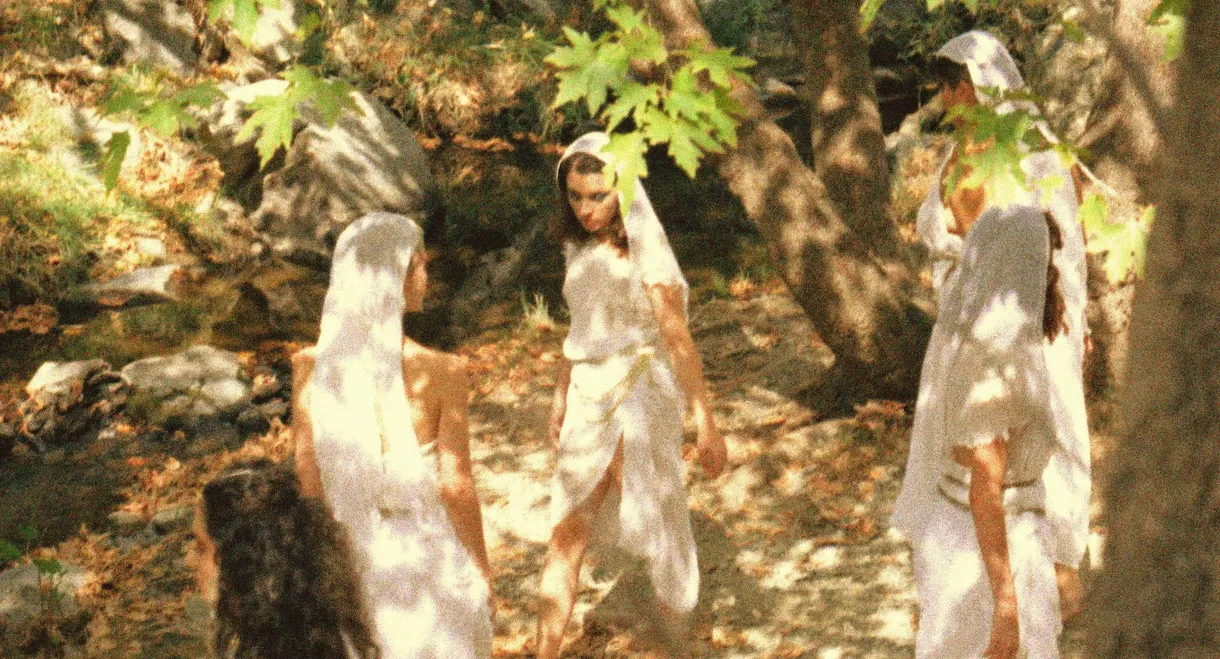 Witches cry on Wednesdays