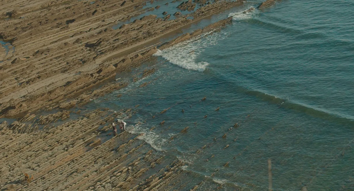 The Disease Has Taken the Farmhouse