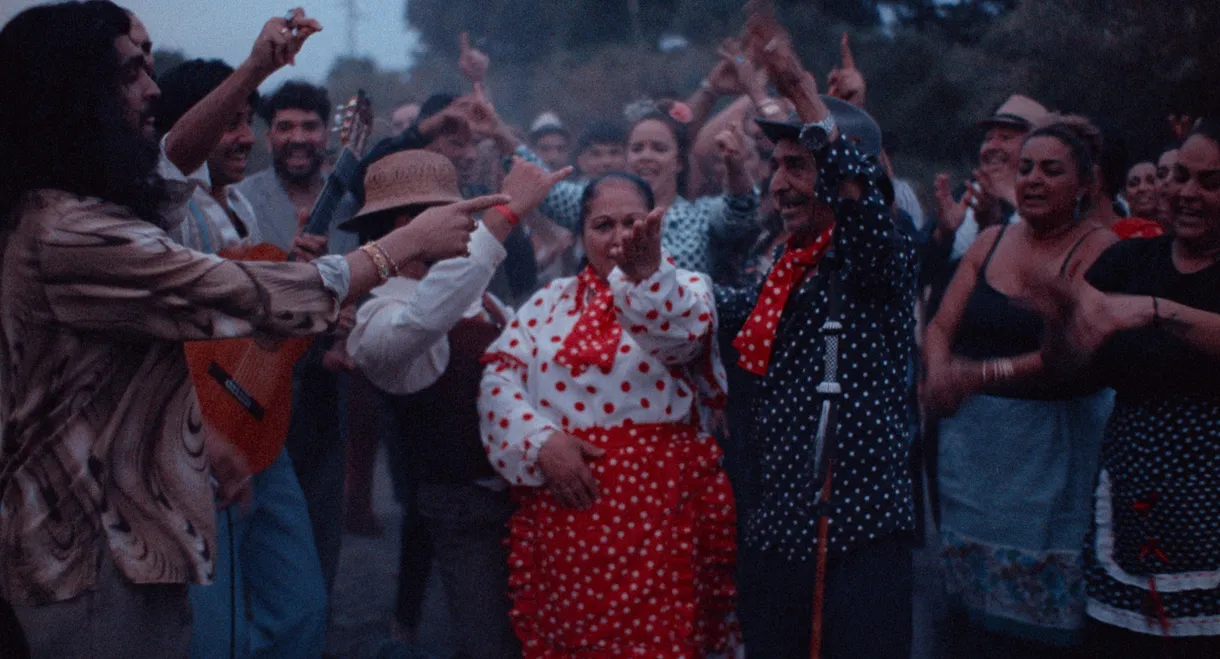 The Flamenco Guitar of Yerai Cortés