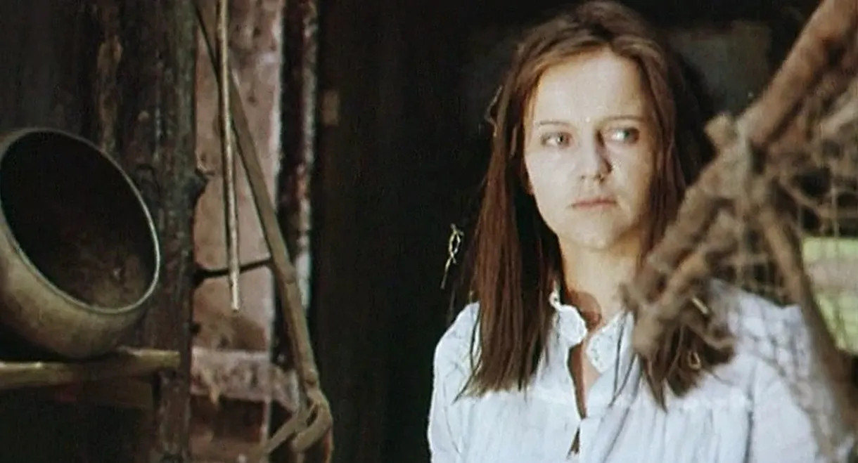 The Guarneri Quartet