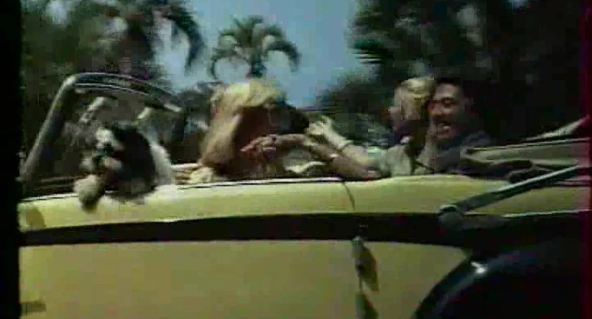 Pilska Julia på bröllopsresa!