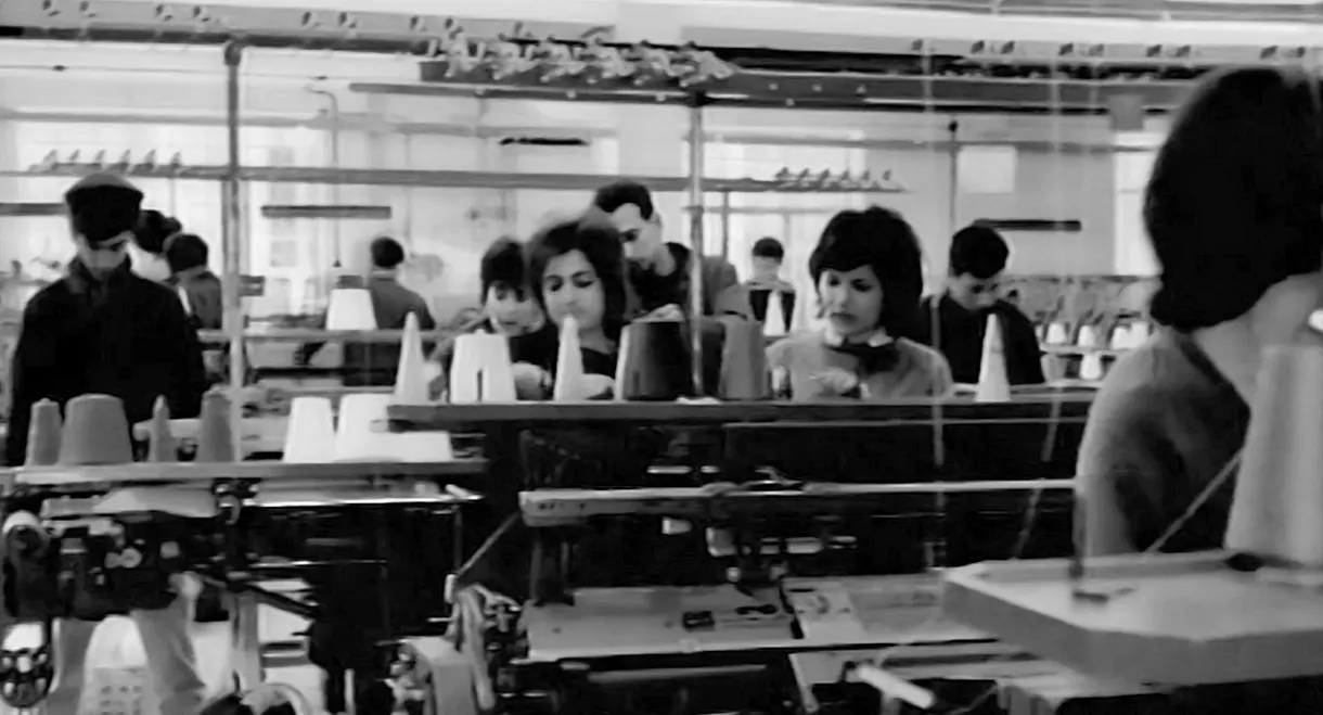 That Something... Else!