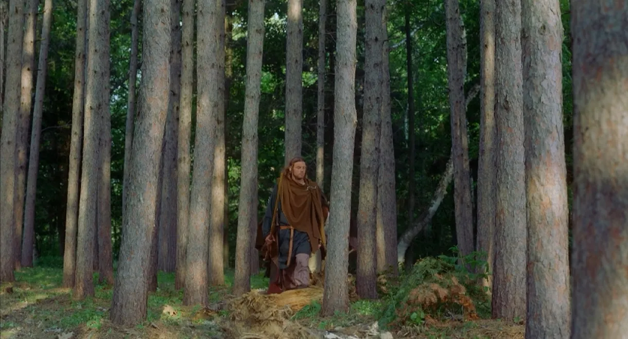 Vikings: Journey to New Worlds