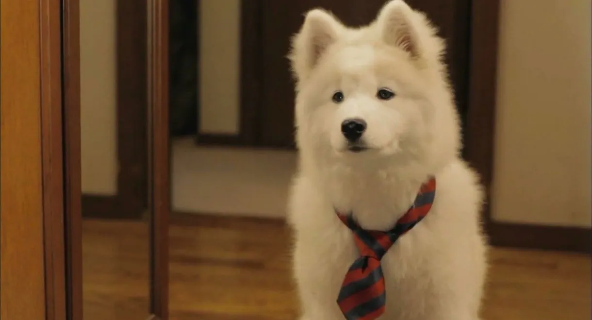 Mr. Inukai Keeps a Dog