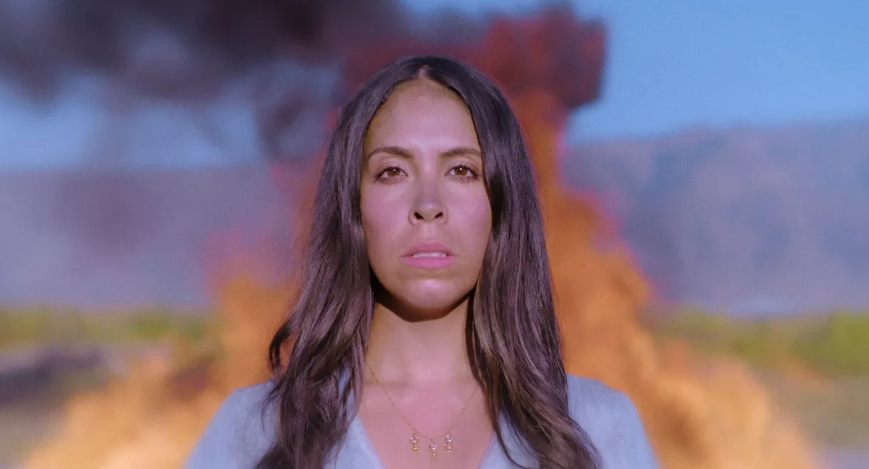 Talking to a Stranger