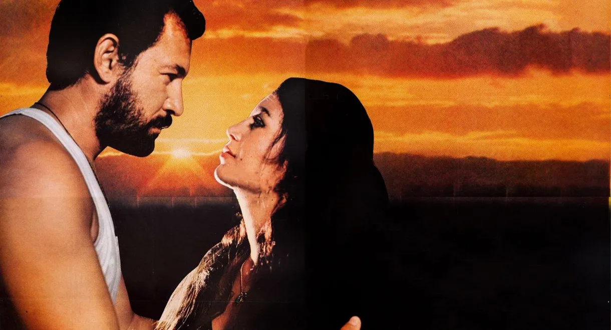 Bir Sevgi İstiyorum