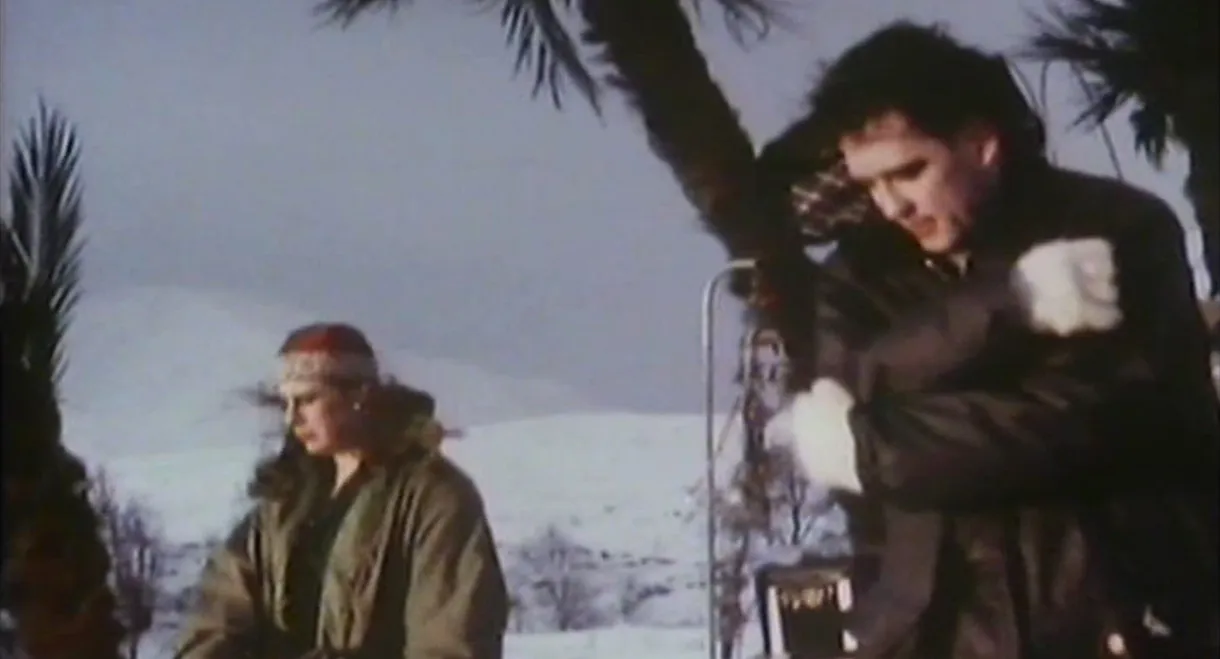 The Cure: Picture Show