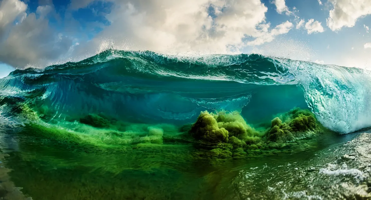 Shorebreak: The Clark Little Story